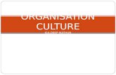 Organisation culture