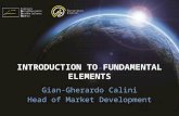 Intro Fundamental Elements - Calini - GSA