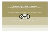 IMG marketing audit
