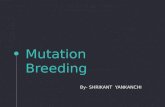 Mutation breeding ppt