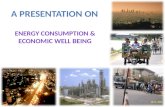Energy consumption and economic wellbeing