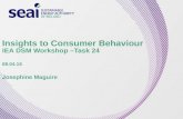 Insights to Irish consumer behaviour and action IEA DSM Task 24