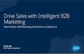 Meet Pardot: Drive Sales with Intelligent B2B Marketing by Salesforce