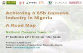 Achieving a $5bn Cassava Industry in Nigeria