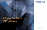 Tricentis software fail_watch_20151