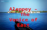 Check out the adorable places in Aleppey!