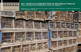 In the Market for Extinction: An inventory of Jakarta's bird markets ...