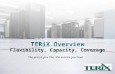 Terix Overview 1210