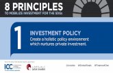 Principles to mobilize investment for the Sustainable Development Goals