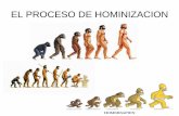 3  hominización