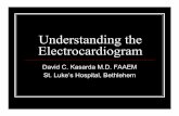 Understanding the Electrocardiogram
