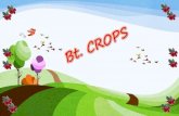 Bt. crops ppt