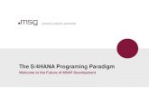 The S/4 HANA Programing Paradigm