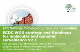 ECDC WGS strategy and roadmap for molecular and genomic surveillance v2.1