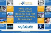 Why Linux Dedicated Hosting Is a Hot Favorite Among Businesses