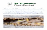 OConnor Pest & Termite Control Service in Camarillo