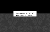 Movements of thoracic wall