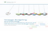 Strategic Budgeting and Planning: How to Turn Mandatory Finance and Risk Disclosures into Strategic Tools