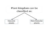 Plants classification g5