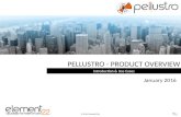 About pellustro - The cloud-based platform for assessments