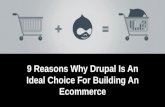 9 reasons why drupal is an ideal choice for building an ecommerce