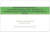 Operationalizing Safety II - Resilience Learning Network - January 10, 2013