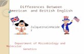 Differences between American english and British English