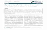 Plasma and cellular fibronectin: distinct and independent functions ...