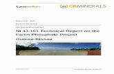 NI 43-101 Technical Report on the Farim Phosphate Project Guinea ...