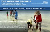 Impacts, Adaptation, and Vulnerability