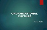 culture in organisation