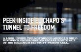 Peek Inside El Chapo's Tunnel To Freedom