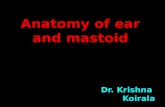 1. anatomy of ear and mastoid