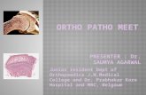 Ortho Patho Meet on Aneurysmal Bone Cyst by Dr. Saumya Agarwal
