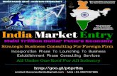 India Market Entry- Strategic Consulting
