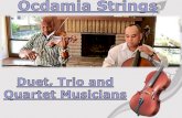 Ocdamia Strings - Duet, Trio and Quartet Musicians