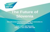 The future of Slovenia - Katja Lautar, Slovenia