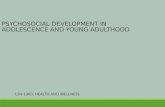 Lecture 8: Psychosocial development, erikson theory, 8 stages, adolescence, trust mistrust