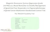 Trigger Rectal Cancer Trial Protocol