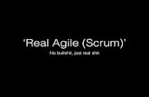 'Real agile'   coaching session