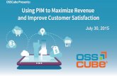 Using pim to maximize revenue and improve customer satisfaction