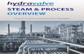 Hydravalve Steam & Process Valves.