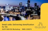 Small cells: Delivering densification for 5G (3GPP RAN 5G Workshop)