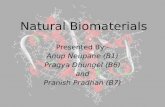 Natural biomaterials