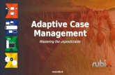 Adaptive Case Management @ Rubix ID 06-04-2016