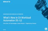 Pre-Con Ed: What’s New With Workload Automation DE R12?