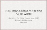 Risk management for the Agile world