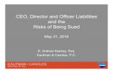Ceo, Director and Officer Liabilities and the Risks of Being Sued