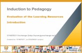 SYNERGY Induction to Pedagogy Programme - Evaluation of the Learning Resources (ENGLISH)