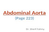 Abdominal Aorta (Anatomy of the Abdomen)